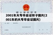 2001年大专毕业证样子图片(2001年的大专毕业证图片)