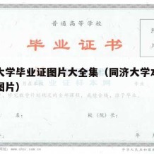 同济大学毕业证图片大全集（同济大学本科毕业证图片）