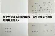 高中毕业证书的编号图片（高中毕业证书的编号图片是什么）