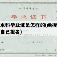 函授本科毕业证是怎样的(函授本科怎么自己报名)