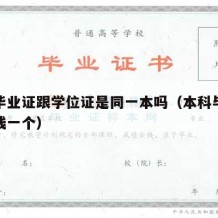 本科毕业证跟学位证是同一本吗（本科毕业证多少钱一个）