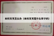 本科文凭怎么办（本科文凭是什么样子的）