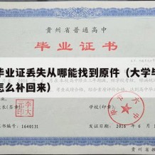 大学毕业证丢失从哪能找到原件（大学毕业证丢了怎么补回来）