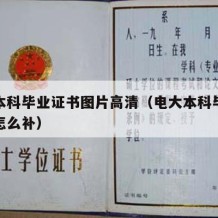 电大本科毕业证书图片高清（电大本科毕业证丢了怎么补）