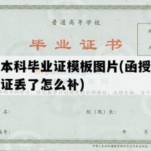 函授本科毕业证模板图片(函授本科毕业证丢了怎么补)