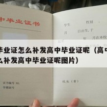 高中毕业证怎么补发高中毕业证呢（高中毕业证怎么补发高中毕业证呢图片）