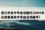 澄江市高中毕业证图片(2001年云南普通高中毕业证书编号）