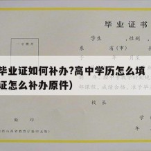 高中毕业证如何补办?高中学历怎么填（高中毕业证怎么补办原件）