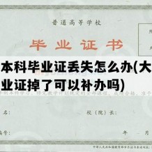 大学本科毕业证丢失怎么办(大学本科毕业证掉了可以补办吗)