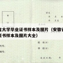 安徽省大学毕业证书样本及图片（安徽省大学毕业证书样本及图片大全）