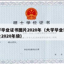 大学毕业证书图片2020年（大学毕业证书图片2020年级）