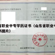 山东省职业中专学历证书（山东省职业中专学历证书图片）