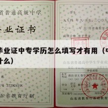 中专毕业证中专学历怎么填写才有用（中专学历填什么）