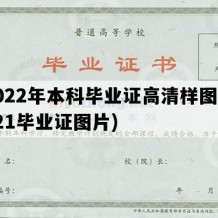 2022年本科毕业证高清样图(2021毕业证图片)