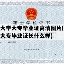 开放大学大专毕业证高清图片(开放大学大专毕业证长什么样)