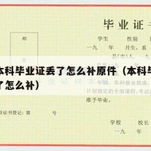 大学本科毕业证丢了怎么补原件（本科毕业证丢失了怎么补）