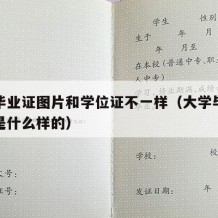 大学毕业证图片和学位证不一样（大学毕业证照片是什么样的）