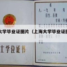 上海大学毕业证图片（上海大学毕业证图片高清）