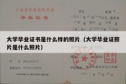 大学毕业证书是什么样的照片（大学毕业证照片是什么照片）