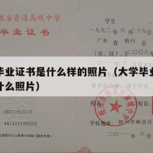 大学毕业证书是什么样的照片（大学毕业证照片是什么照片）