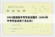 2003届湖南中专毕业证图片（2003年中专毕业证丢了怎么办）