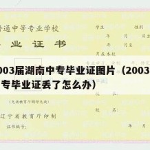 2003届湖南中专毕业证图片（2003年中专毕业证丢了怎么办）