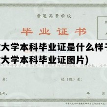 开放大学本科毕业证是什么样子的(开放大学本科毕业证图片)