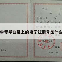 中专毕业证上的电子注册号是什么