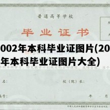 2002年本科毕业证图片(2002年本科毕业证图片大全)