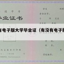 哪里有电子版大学毕业证（有没有电子版的毕业证）