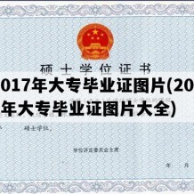 2017年大专毕业证图片(2017年大专毕业证图片大全)