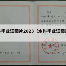 本科毕业证图片2023（本科毕业证图片大全）