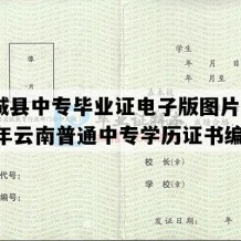 江城县中专毕业证电子版图片(2014年云南普通中专学历证书编号）