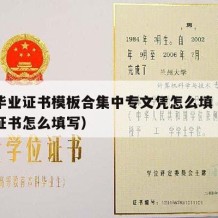 中专毕业证书模板合集中专文凭怎么填（中专毕业证书怎么填写）