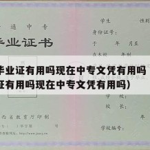 中专毕业证有用吗现在中专文凭有用吗（中专毕业证有用吗现在中专文凭有用吗）