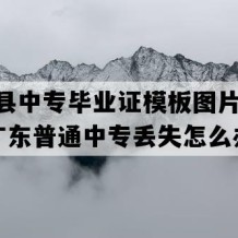 新丰县中专毕业证模板图片(2004年广东普通中专丢失怎么办）