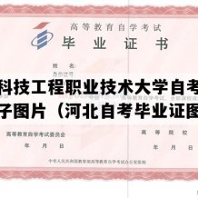 河北科技工程职业技术大学自考毕业证样子图片（河北自考毕业证图片）