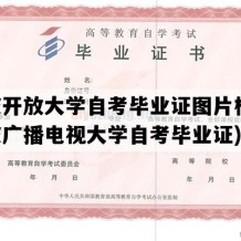 宁波开放大学自考毕业证图片模板(宁波广播电视大学自考毕业证)