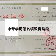 中专学历怎么填教育阶段