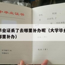 大学毕业证丢了去哪里补办呢（大学毕业证丢失去哪里补办）