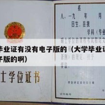 大学毕业证有没有电子版的（大学毕业证有没有电子版的啊）