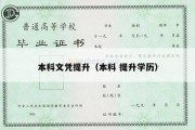 本科文凭提升（本科 提升学历）