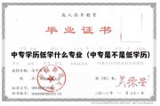 中专学历低学什么专业（中专是不是低学历）