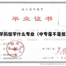 中专学历低学什么专业（中专是不是低学历）