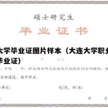 大连大学毕业证图片样本（大连大学职业技术学院毕业证）