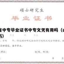 山东省中专毕业证书中专文凭有用吗（山东中专学历）