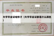 大学毕业证啥样子（大学毕业证都是什么颜色）