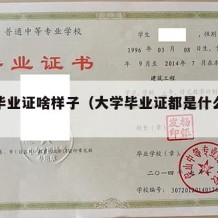 大学毕业证啥样子（大学毕业证都是什么颜色）