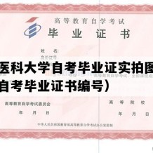 贵州医科大学自考毕业证实拍图片（贵州自考毕业证书编号）