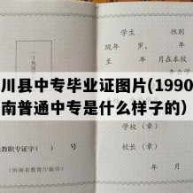 伊川县中专毕业证图片(1990年河南普通中专是什么样子的）